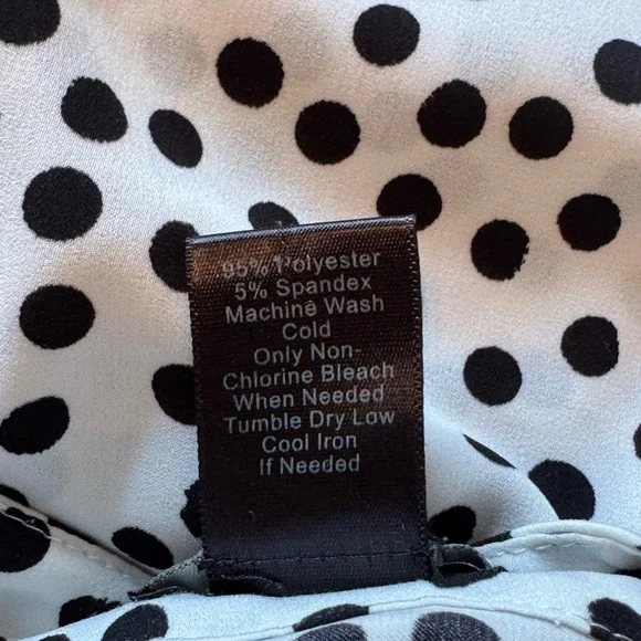 Ann Taylor Polka Dot Top - Picture 4 of 4